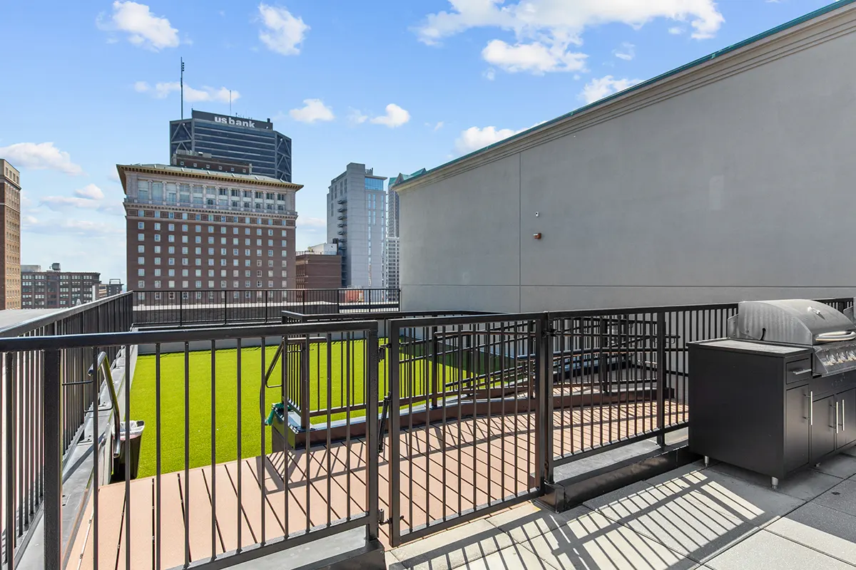 Rooftop Dog Park with green turf and secured fencing, with cityscape views in the background