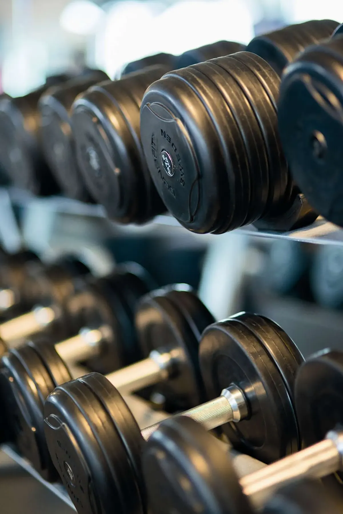 Close-up of dumbells organized on a rack