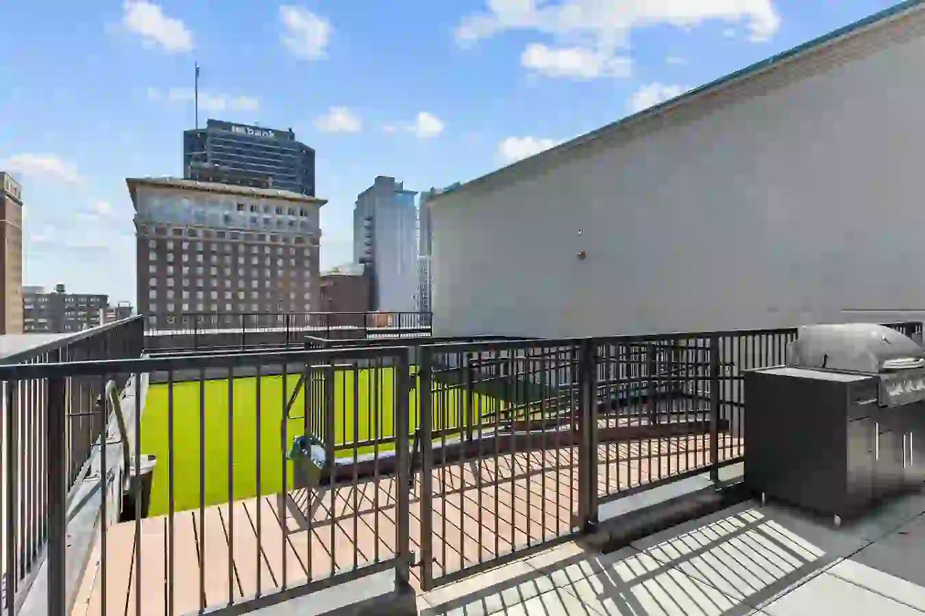 Rooftop Dog Park with Views of Downtown St. Louis