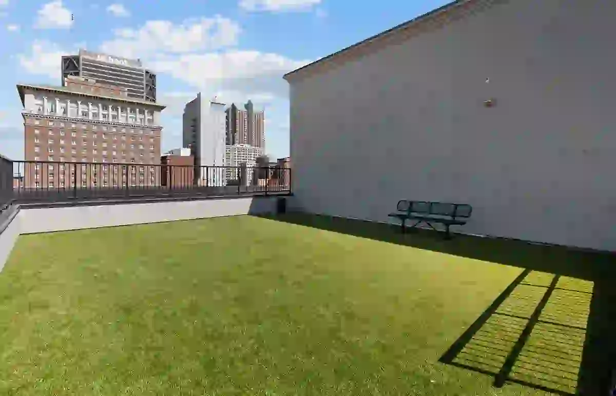 Rooftop Dog Park with Downtown St. Louis City Views